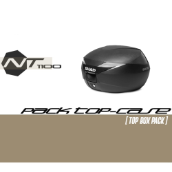 Pack Top-case SHAD SH39 Carbone