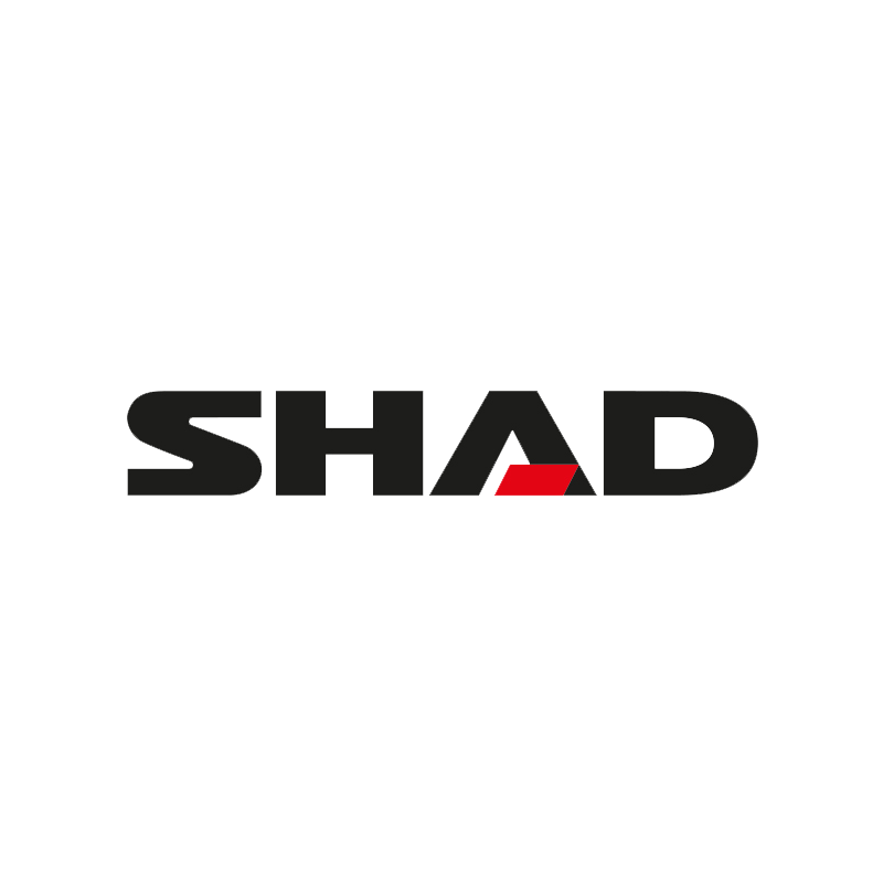 Shad